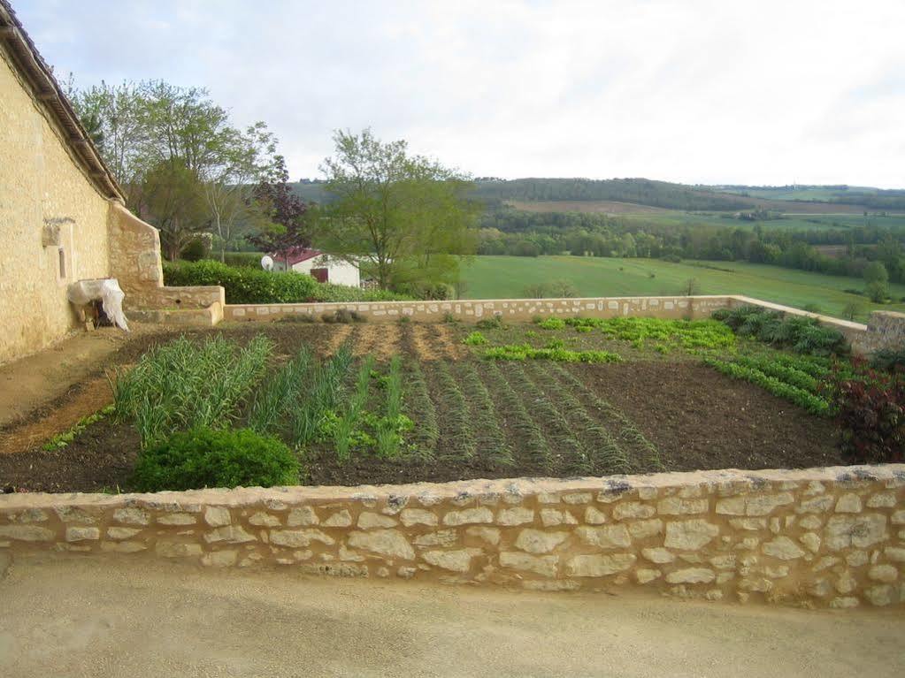 Chambre D'Hotes Domaine Le Castagne Auch Zewnętrze zdjęcie